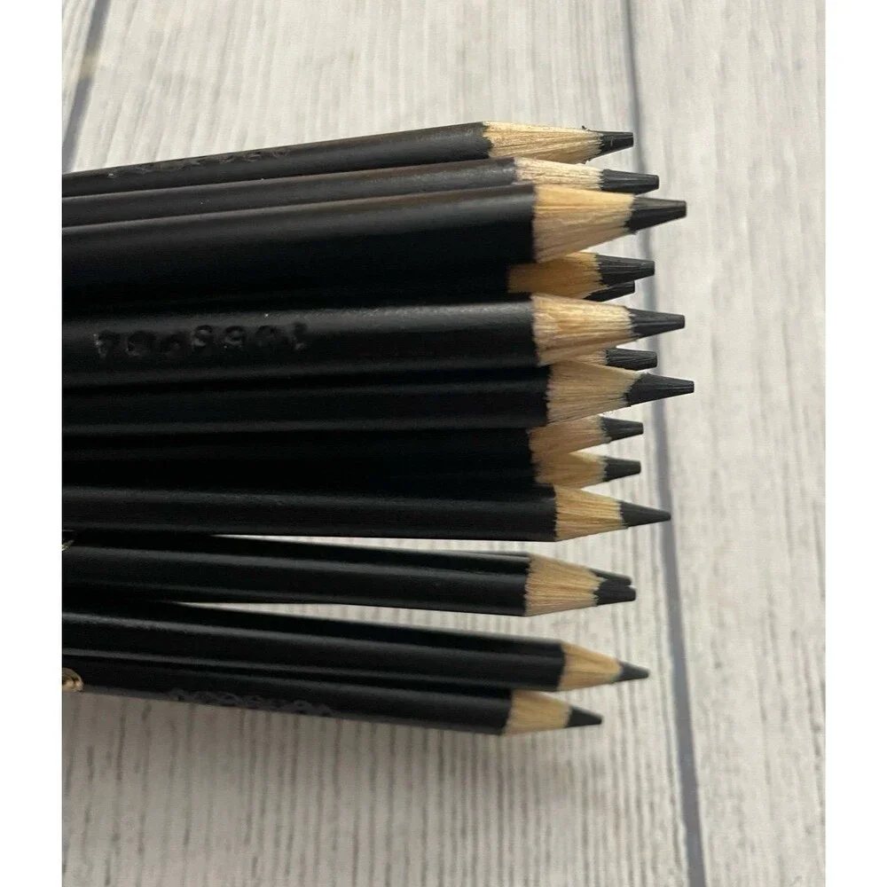 NEW! Twenty Black Crayola Colored Pencils